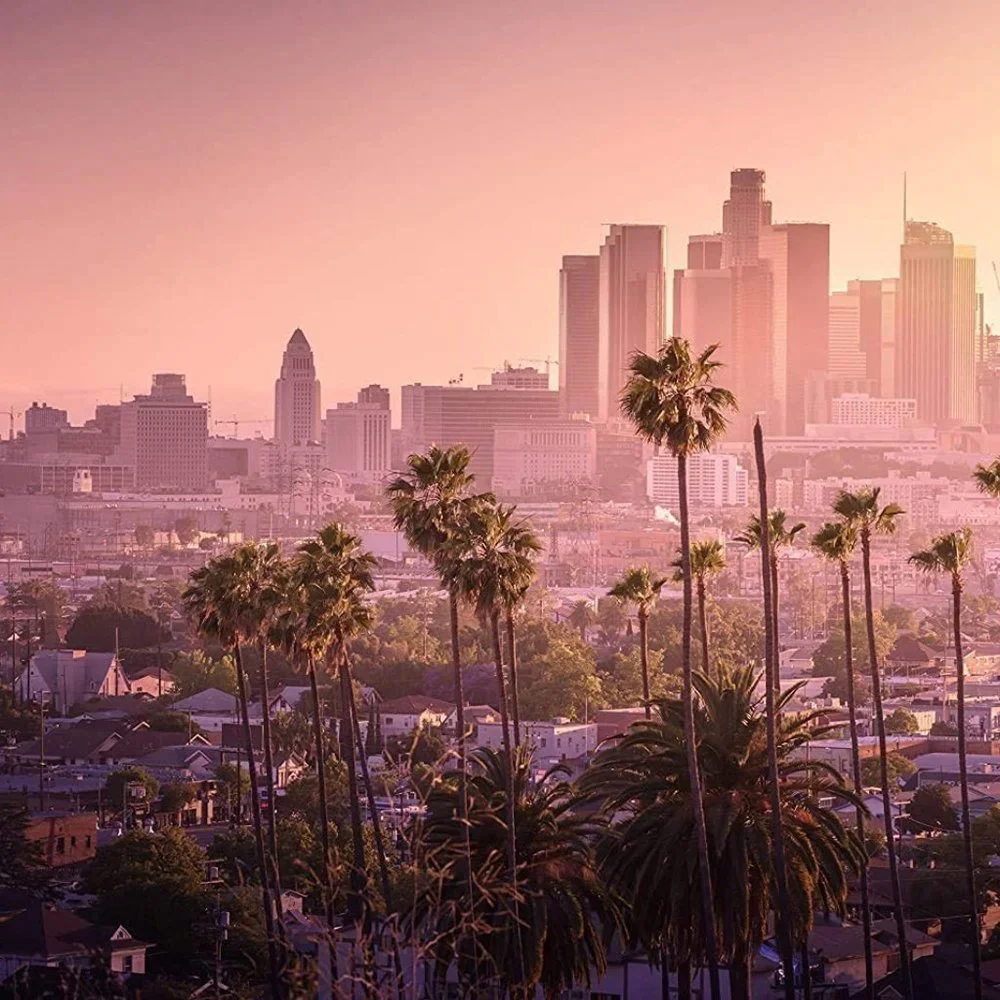 Los Angeles Pink Sunset City Skyline Cityscape Wall Indoor Pretty Decor Tapestry